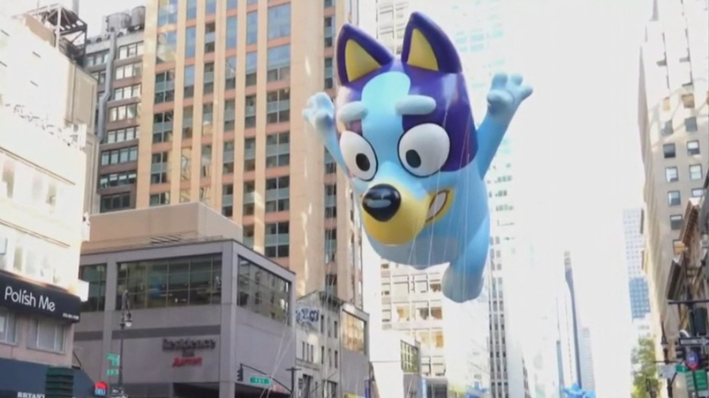 Bluey stars in Macy's Thanksgiving Day Parade in New York